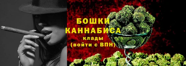 крисы Верхний Тагил