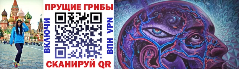 Купить  Юрьевец  Псилоцибиновые грибы Cubensis 